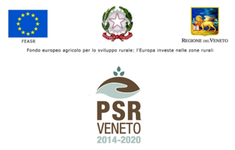 loghi PSR Veneto